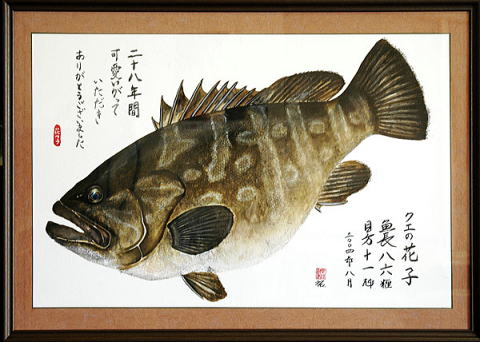 初代クエの花子ちゃん店内展示の色彩魚拓(sawa様御寄贈)